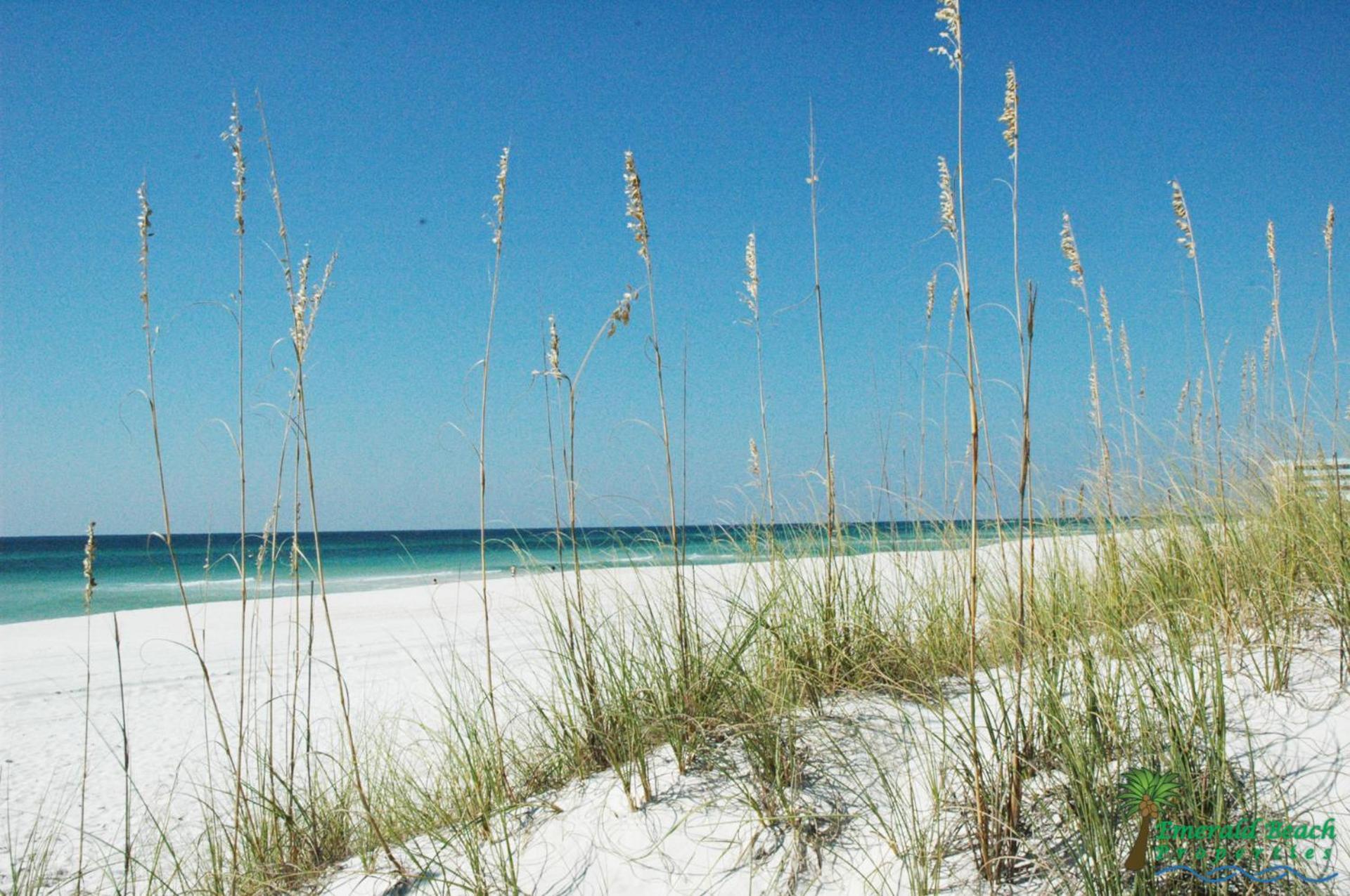 Holiday home Twin Palms 1903 'no Bad Days' Panama City Beach